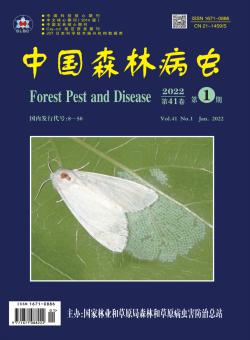 中国森林病虫